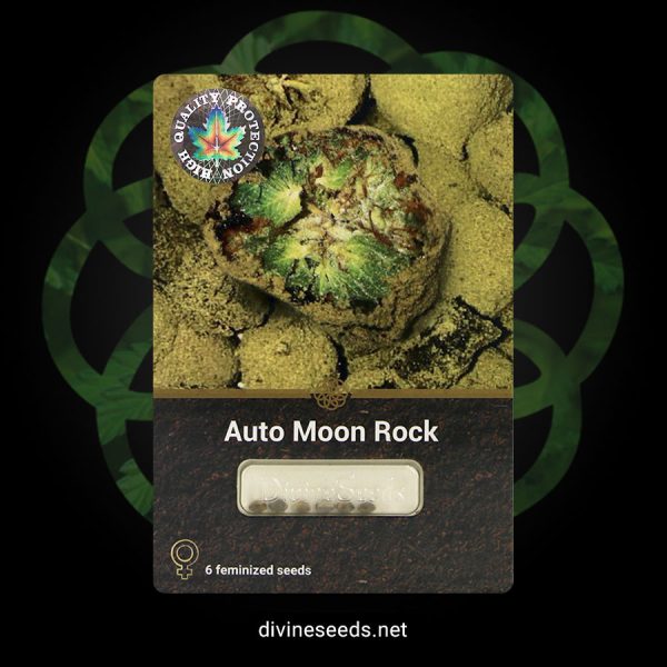 Auto moon rock opakowanie