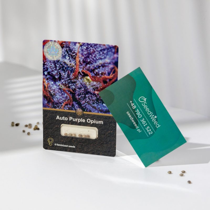 auto-purple-opium-scaled-1.jpg