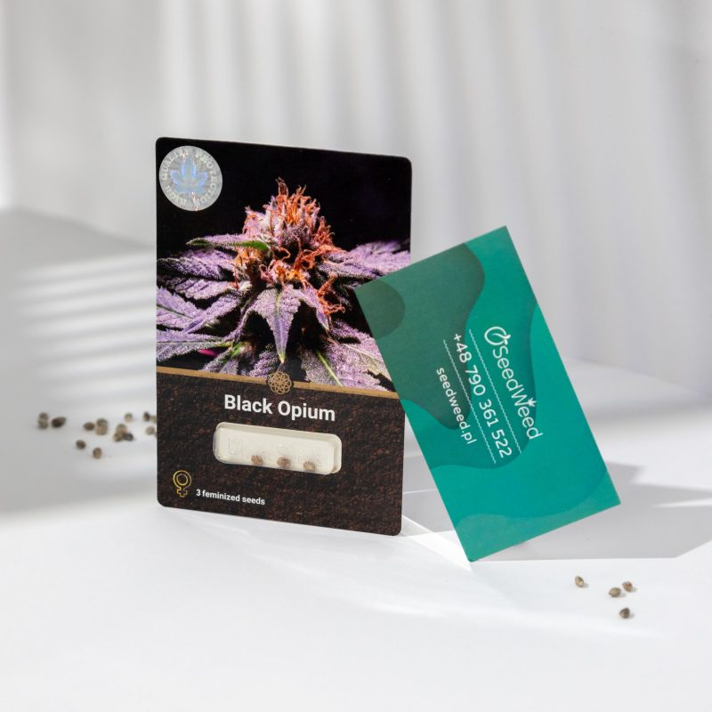 black-opium-scaled-1.jpg