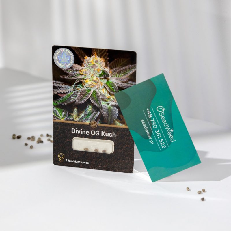 divine-og-kush-1-scaled-1.jpg